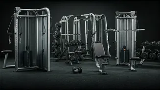 Unveiling Workout Wonders: Cables, Machines, or Free Weights?