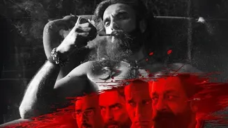 Related Stories banner