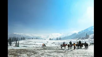 Winter in Kashmir: Month-by-Month Snowfall and Travel Guide