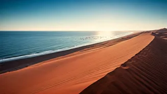 Namibia: Where the Ocean Meets the World's Oldest Desert for an Unforgettable Road Trip