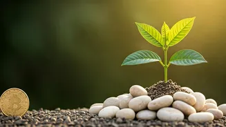 The Financial Habit That Pays Off