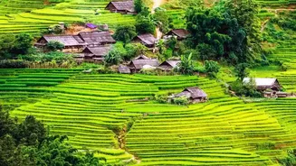 Low-Cost AI Tools Help Maharashtra Farmers Identify Crop Diseases And Protect Harvests