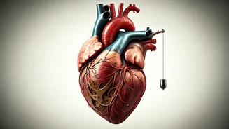 David Beckham's Post-Retirement Slump: The Perils of Halting Your Fitness Routine