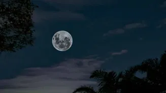 Dev Deepawali 2025: On Kartik Purnima, Follow These Do's And Don'ts Strictly