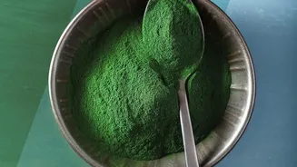 Protein Powder Myths And Facts In Context: Protein Needs Depend On Diet And Activity