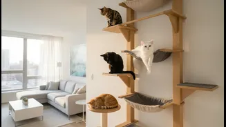 How to design safe high-altitude escape perches to minimize multi-cat apartment aggression