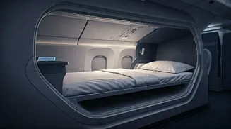Air New Zealand Unveils Revolutionary 'Skynest': Economy Flyers Can Now Book Sleep Pods on Long-Haul Flights