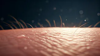 Don't Let Monsoon Damage Your Skin Barrier