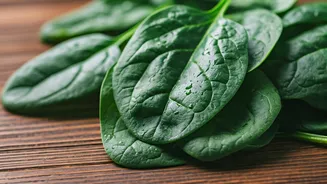 Spinach Power: 10 Ways to Boost Iron & Fiber