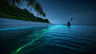Bioluminescent Kayaking Adds Magic To Island Nights