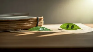 Tithi Notes Are The New Spiritual Micro-Content