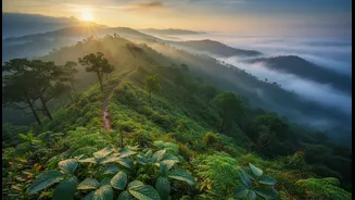 Essential Tips Before Heading To The Western Ghats