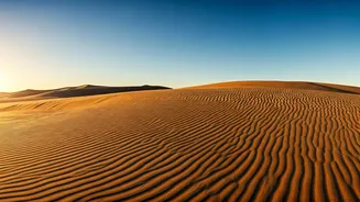 Sam Dunes Give Travellers A Golden Detour
