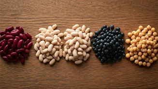 5 Powerhouse Beans to Elevate Your Vegetarian Meals