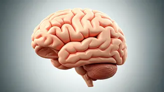 Healthy Habits for a Sharp Mind After 40