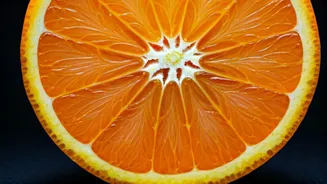 Why Are Indians Often Vitamin B12 Deficient?