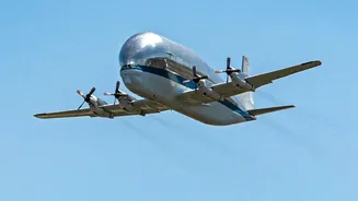 Air Freight Turns a Late Harvest Into an International Opportunity