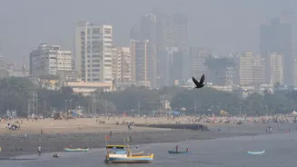 Mumbai Shivers in Winter Chill as Temperatures Dip Below 20 Deg C for the First Time This Season