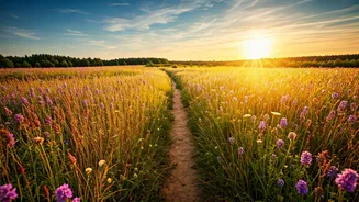 Forgiveness: The Key to Inner Peace, According to BK Shivani