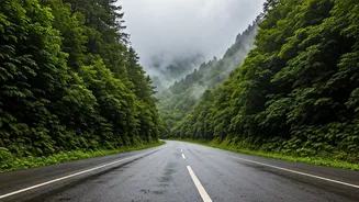 Mahabaleshwar Monsoon Road Trip: The Complete Checklist