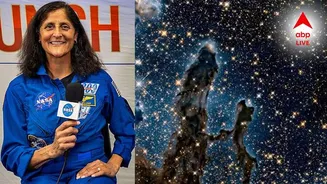 Sunita Williams: মহাকাশের 'অদ্ভূত এক জিনিস' দেখে ফেলেছিলেন সুনীতা, অবশেষে সামনে এল সেই...