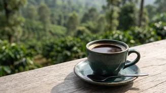 Why drinking single-origin Arabica specialty coffee supports eco-friendly estate practices in Coorg and Chikmagalur