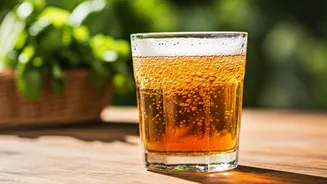 Unlock Gut Health: Natural Probiotic Powerhouses