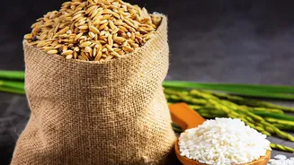From Seasonal Produce To Traditional Grains, A Monsoon Food Guide For India