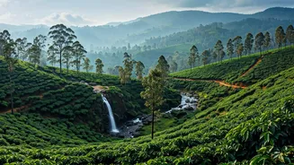 Discover Coorg: A Journey Through Misty Hills, Lush Plantations, and Cultural Gems