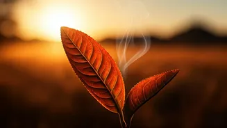 Unlock Your Wellness: 5 Remarkable Health Benefits of African Bush Tea