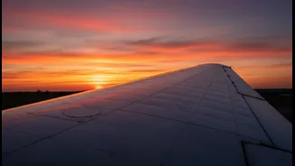 On-Time Flights Are Winning Over Frequent Travellers
