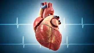 5 Science-Backed Secrets to a Longer Life!