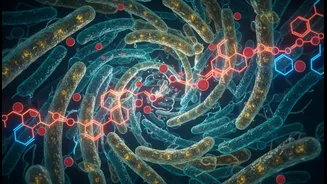 How continuous glucose monitors educate non-diabetic users on gut-sugar connection points