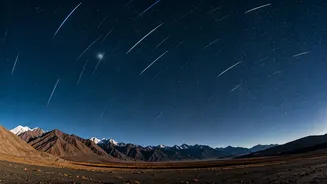 Why Late July Belongs To Ladakh’s Incredible Shooting Star Scenery
