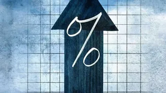 Which Sectors Are Hiring More Freshers In India This Year?