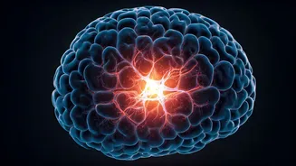 Unlocking AI's Potential: How to Make Systems Learn Like Humans