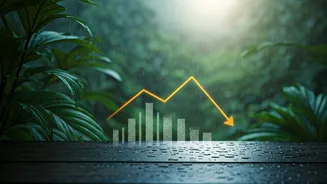 Pricing Trends Are Steering Monsoon Holiday Plans