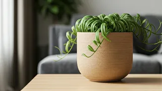 This Planter Can Make Any Room Softer