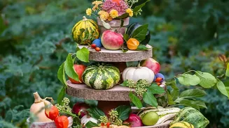 Seasonal Ingredients That Can Freshen Up Your October Recipes