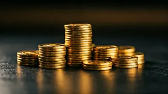 3 Midcap Mutual Funds: Investment Options