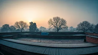 Delhi's Winter Chill: A Guide for Travelers