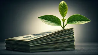 Your Paycheck Needs This Wealth Upgrade