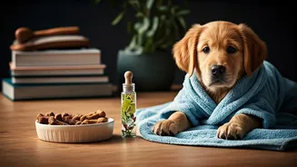 Fur Babies Are Getting Full Wellness Routines Now