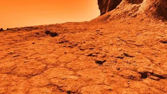 Earth Landscapes Can Mimic the Visual Challenges of Descending through Venus's Atmosphere