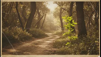A Return Journey Can Honour Change Instead Of Chasing An Exact Past
