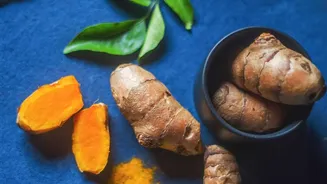 Gut Comfort Is Becoming A Bigger Lifestyle Consideration As India Enters The Festive Season