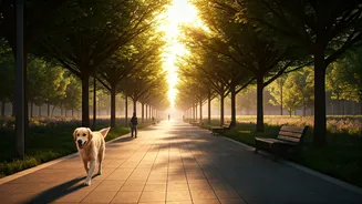 Urban Walks With Pets Are Proper Travel Plans
