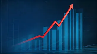 Decoding India's Job Market: Trends and Insights