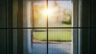 Revitalize Your Entryway: Pro Tips for a Sparkling Clean Screen Door
