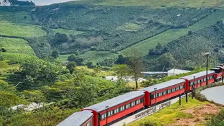 Sri Lanka Kandy To Ella Train Trip Tops Indian Bucket List Travels